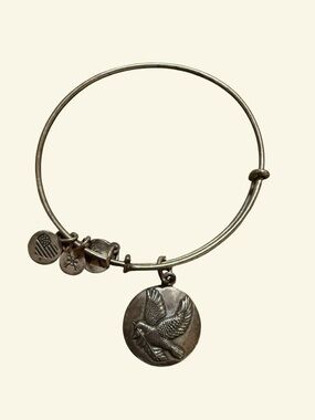 Alex and Ani Antique Silver Sacred Dove Charm Bangle